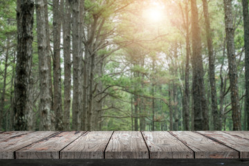 Empty wood Shelf on pine tree background