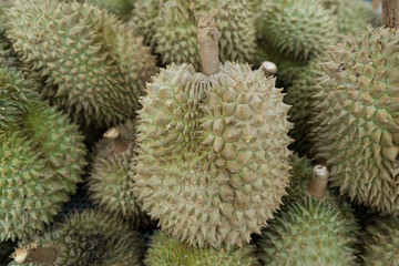 durian in the market