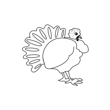 Icon turkey, to the day of Thanksgiving, on a white background