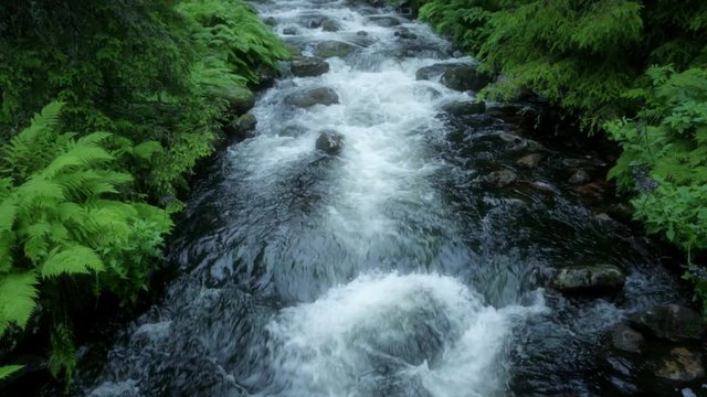 Water flowing in small stream in forest. Njupesk&auml;rsfallet in Fulufj&auml;llets nationalpark, Dalarna, Sweden.