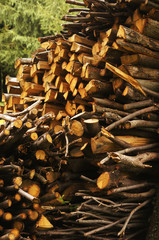 Tas de bois et branchage