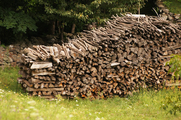 Branchage sur tas de bois