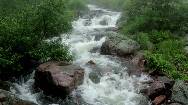 Water flowing in small stream in forest. Njupesk&auml;rsfallet in Fulufj&auml;llets nationalpark, Dalarna, Sweden.