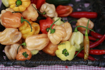 Peppers for sale at the Farmers Market