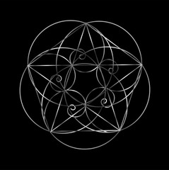 Fibonacci Spiral- The sacred geometry 