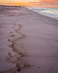 Footprints in the sand