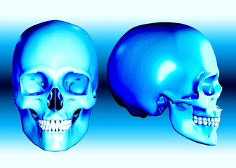 3d skulls with blue light