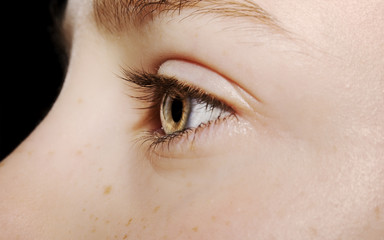 Obraz premium A beautiful insightful look eye. Close up shot