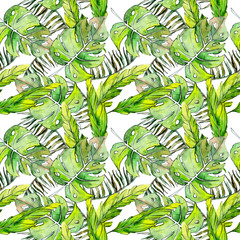 Tropical Hawaii leaves palm tree  pattern in a watercolor style. Aquarelle wild flower for background, texture, wrapper pattern, frame or border.