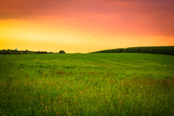 Beautiful farm field with grass, silo and corn at sunset. Amish country, Lancaster  Pennsylvania 