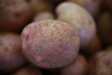 Potatoes for sale at the Farmers Market
