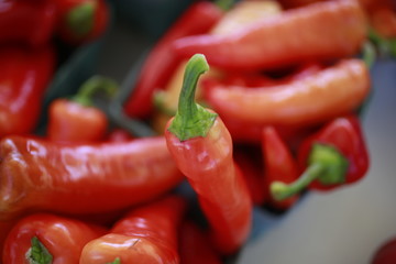 Chili peppers for sale at the Farmers Market