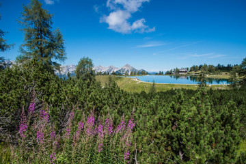 Fototapeta premium Bergsee Hinterstoder