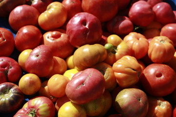 Heirloom tomatoes for sale at the Farmers Market