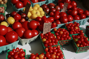Tomatoes for sale at the Farmers Market