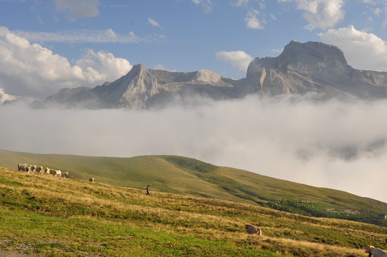 Col D'Aubisque