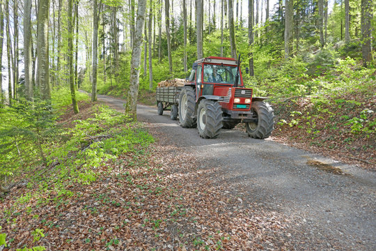 traktor mit holz, im wald, schweiz Stock-Foto | Adobe Stock