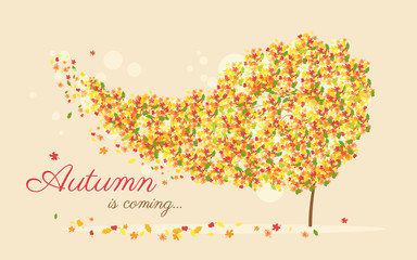 Autumn is coming vector illustration of wind ripping out yellow leaves from the golden tree. Autumnal background for seasonal card and web banner