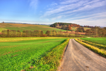 Feldweg im Herbst