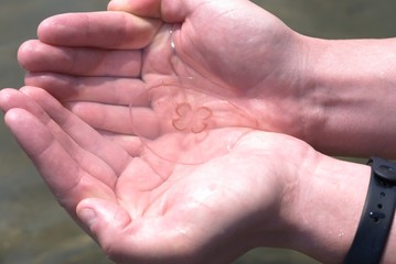 The man holds a jellyfish in his hand