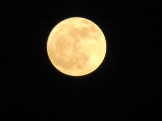 Golden moon