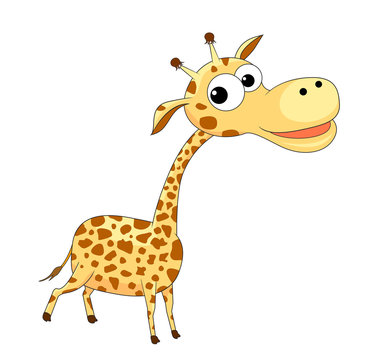 Cute funny giraffe. A small cartoon giraffe on a white background.  