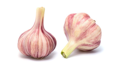 Garlic isolated on white background