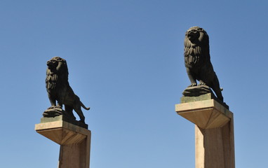 Les Lions de Saragosse