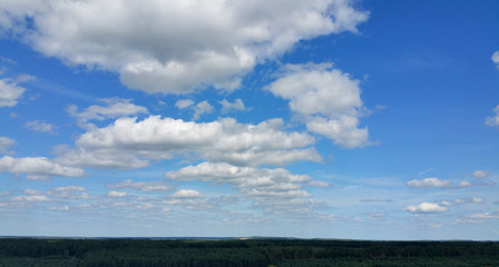 Fototapeta na wymiar Forest and Sky Landscape.