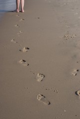 Footprint in damp sand on the beach