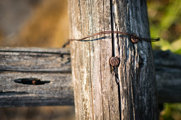 Rusted nails