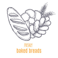 Hand drawn decorative bread bakery . Vector Illustration.