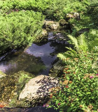 Quiet stream in the Japanese garden