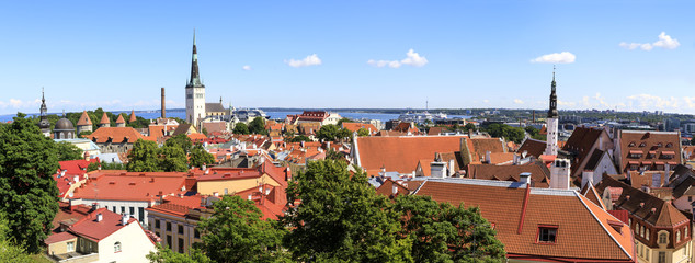 Naklejka na ściany i meble Tallinn old town city panorama in summer