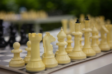 a game of chess in the Park