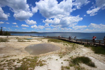 a geyser by the yellowstone lake