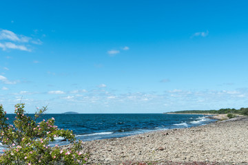 Obraz na płótnie Canvas Coastline at the swedish island Oland