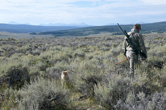 Hunter carrying rifle walking with dog for hunting