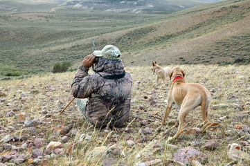 Camouflage hunter and dogs scanning arid landscape