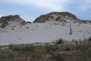 Sand dunes in Leba, Poland