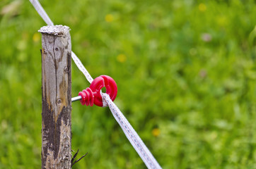 electric pasture fence