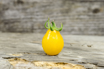 Yellow cherry tomato on wood background