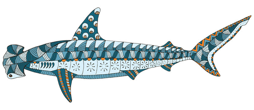 Hammerhead shark zentangle stylized, vector, illustration, pattern, freehand pencil, hand drawn.