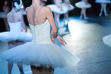 acting skills, dramatic character, theater concept. slim back of young female ballet dancer,...