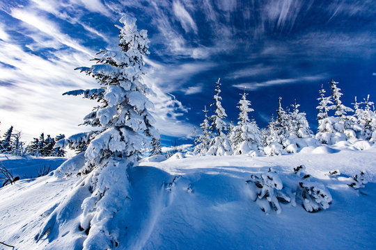 Obraz Zima w górach