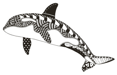 Fototapeta premium Killer whale zentangle stylized, vector, illustration, freehand pencil, hand drawn, pattern, orca. Pattern. Zen art.