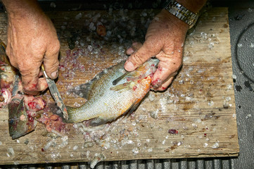 Man scraping fish on wooden board