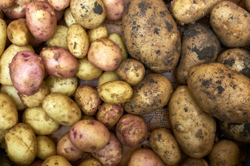 potatoes raw vegetables food in market for pattern texture and background