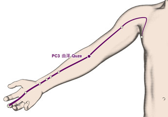 Obraz premium Drawing Acupuncture Point PC3 Quze, 3D Illustration