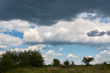 Fototapeta na wymiar Gloomy clouds over a weed-covered field
